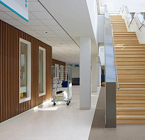 Forbo Sphera Essence 50526 clay фото 2 | FLOORDEALER